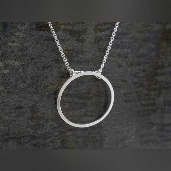 ♥️ CIRCLE OF LIFE STERLING SILVER NECKLACE - Picture 1 of 6